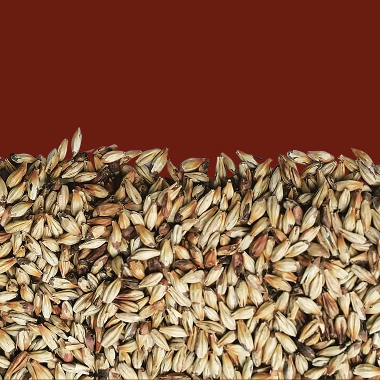 Malto d'orzo Cara-Biscoté