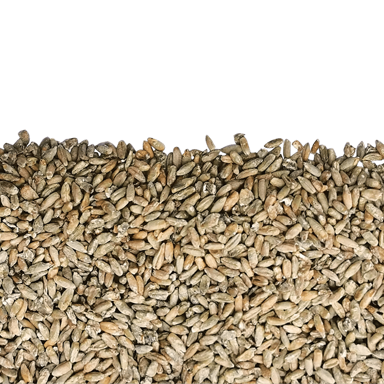 Malt de seigle