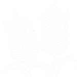 Handwerkliche Mälzerei in Haute-Savoie