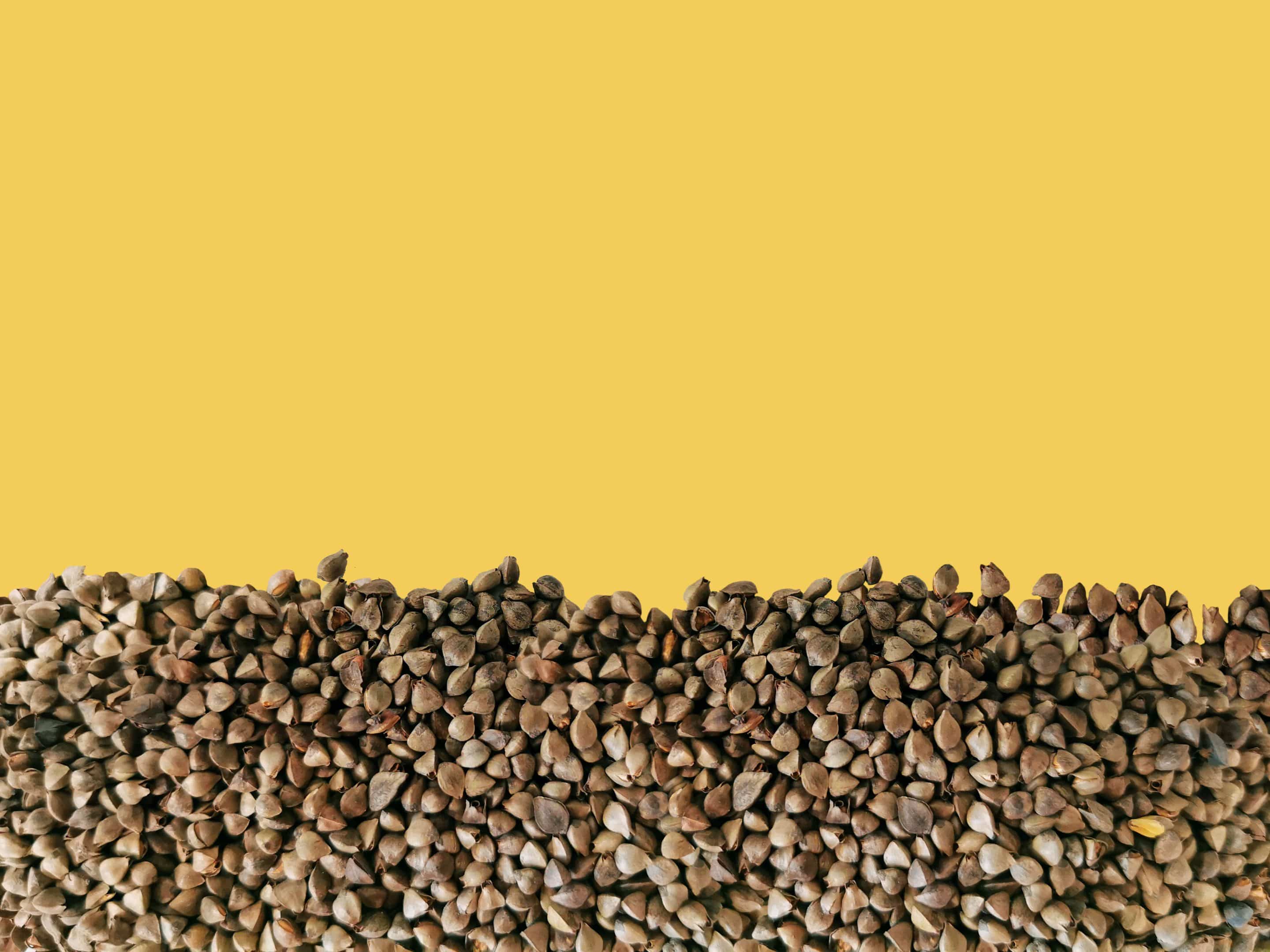 Grano saraceno arrostito